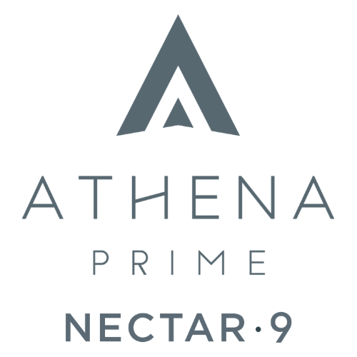 Nectar9 logo