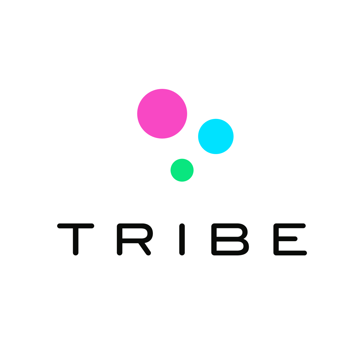 TRIBE logo